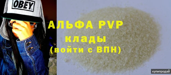 шишки Инта