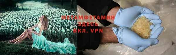 шишки Инта