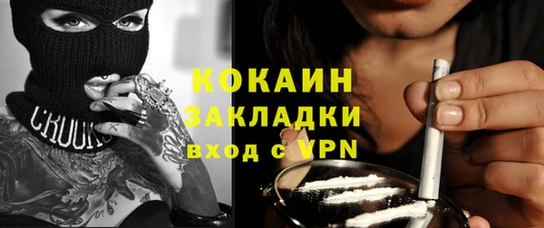 шишки Инта