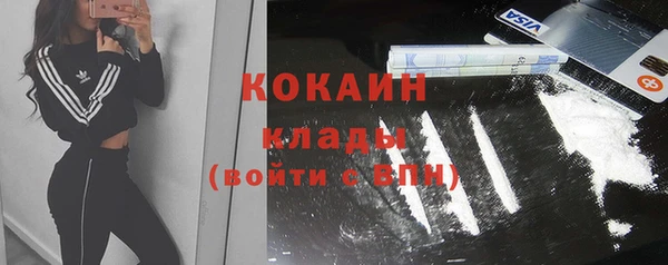 шишки Инта