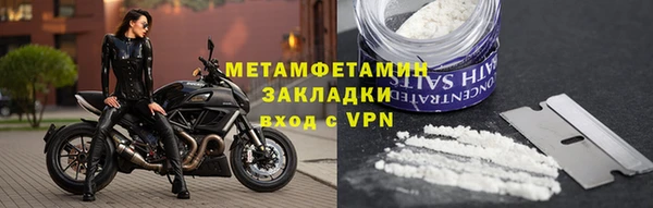 шишки Инта