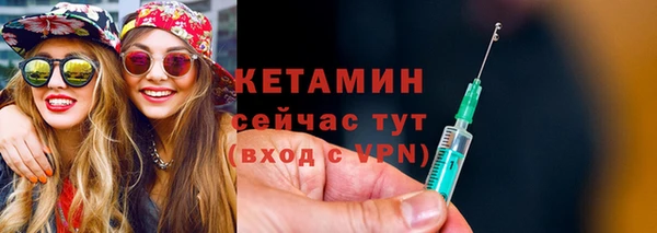 шишки Инта