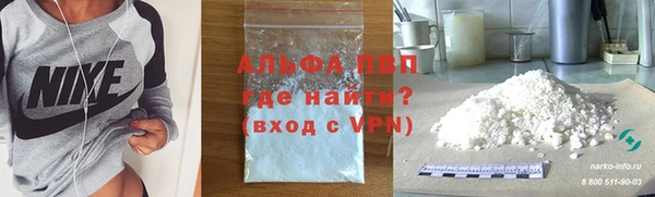шишки Инта