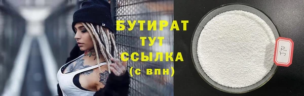 шишки Инта