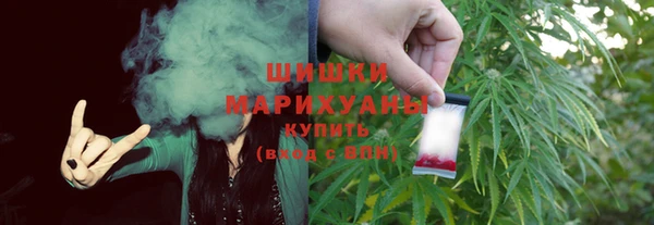 шишки Инта