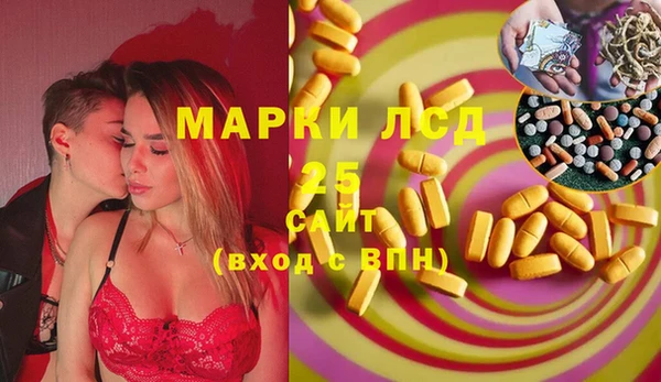 шишки Инта