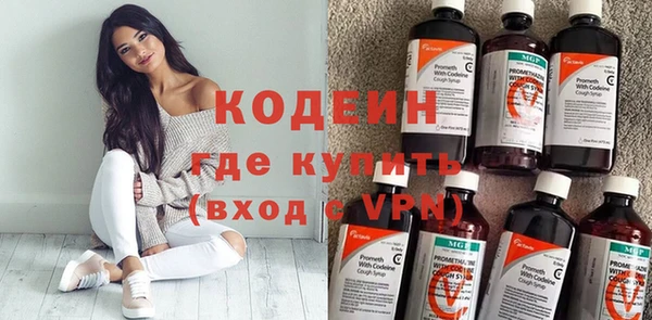 шишки Инта