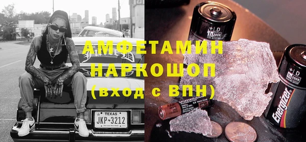шишки Инта