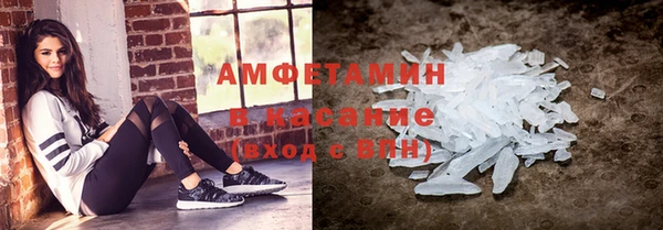 шишки Инта