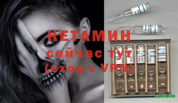 шишки Инта