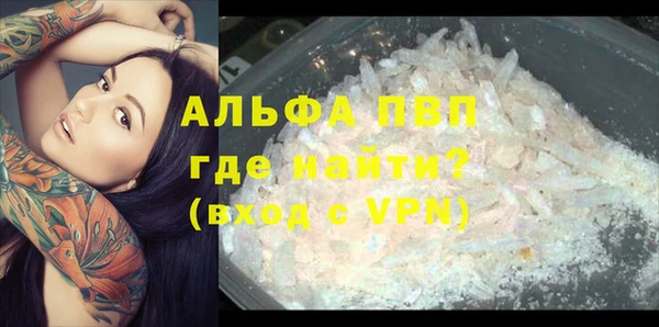Альфа ПВП Инсар