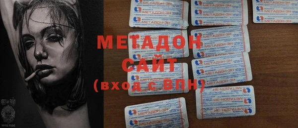 шишки Инта