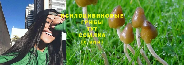 Альфа ПВП Инсар