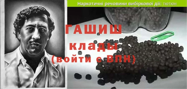 шишки Инта