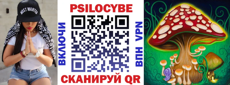 Купить где  Янаул  Галлюциногенные грибы GOLDEN TEACHER 
