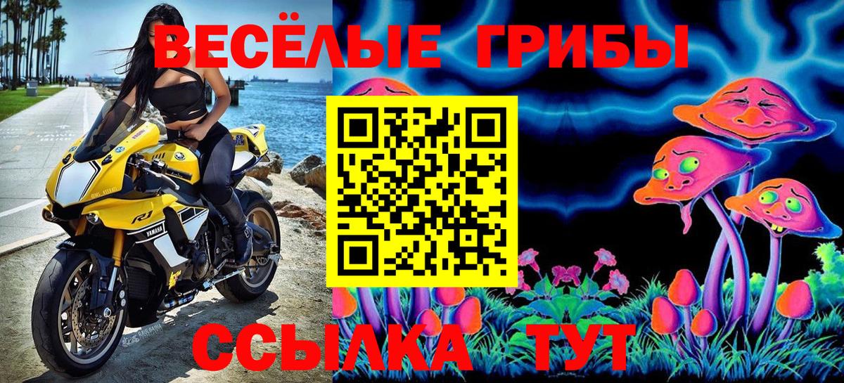 Галлюциногенные грибы ЛСД  Галлюциногенные грибы Psilocybe  Янаул  Вход с VPN 